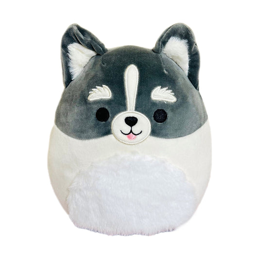 Squishmallow 12 Inch Paolo the Pomsky Plush Toy